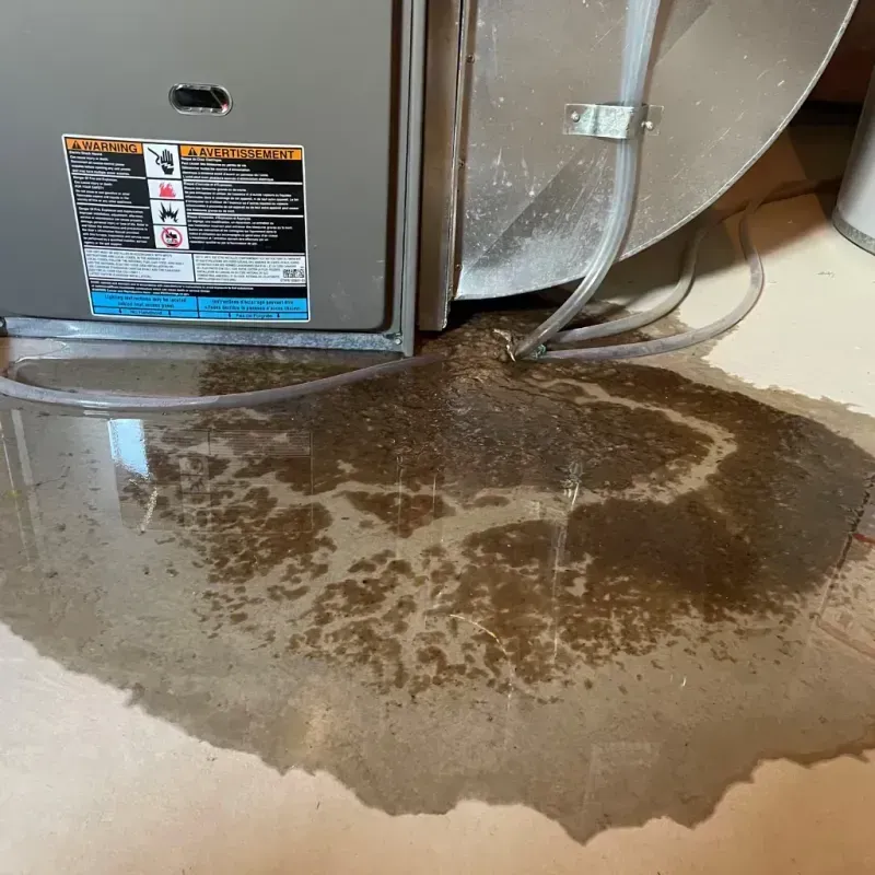 Appliance Leak Cleanup in Uhland, TX